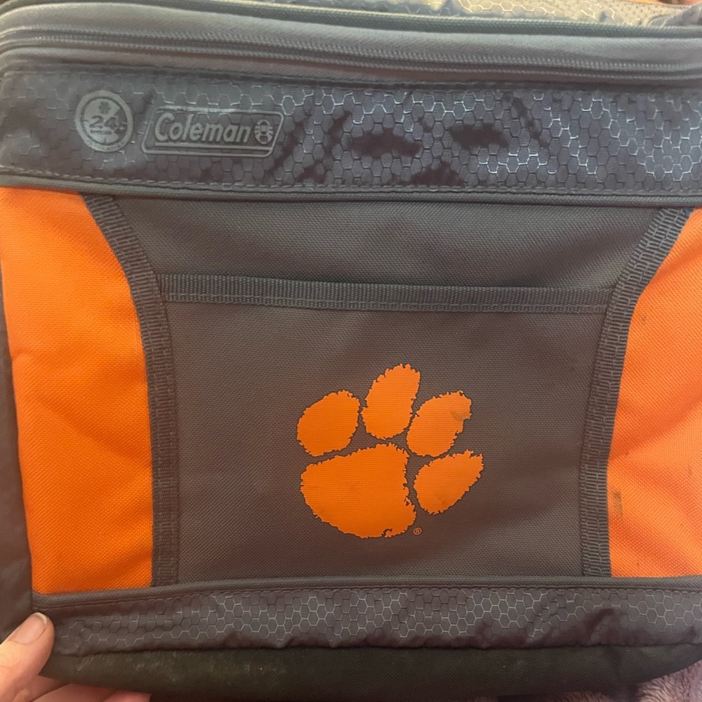 Cooler bag